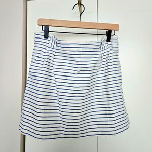 Blue and White Striped Women's Skirt